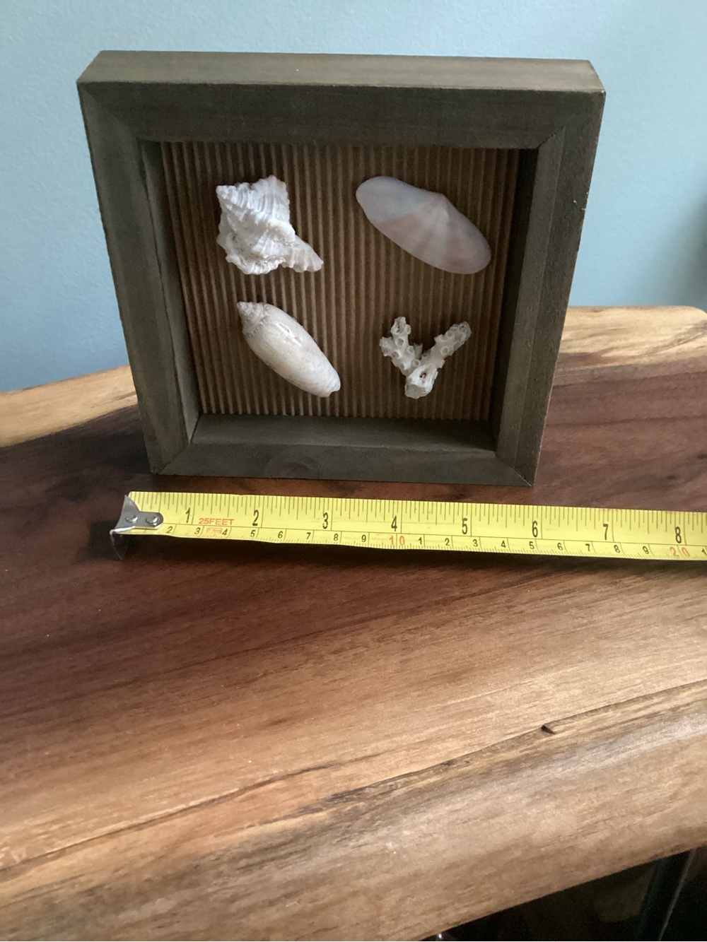 Neutral Color Shell Shadow Box Art - Home Accents - Picture 3 of 4